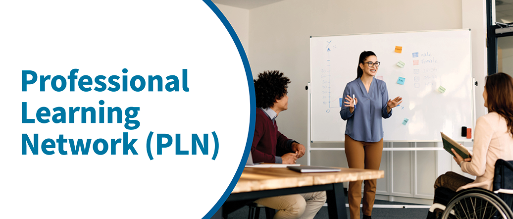 Professional Learning Network (PLN) - People in a workshop